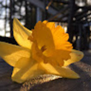 Meet your Posher, Jillian